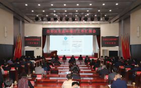 自治区生态环境厅召开工作汇报会议