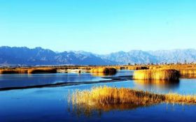 聚焦办实事 做好“水文章” 水生态环境处结合中心工作推进党史学习教育走深走实