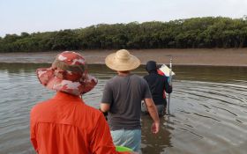 海上森林”的生态守护者 ——2021年广西红树林生态系统野外调查工作纪实