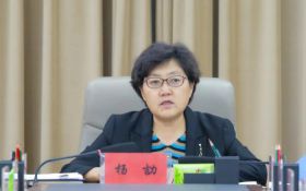 自治区生态环境厅召开党组会议