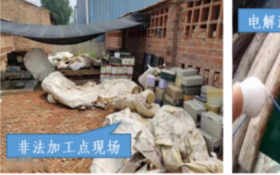 【生态环境部公布第三批生态环境执法典型案例（打击危险废物环境违法犯罪领域）】